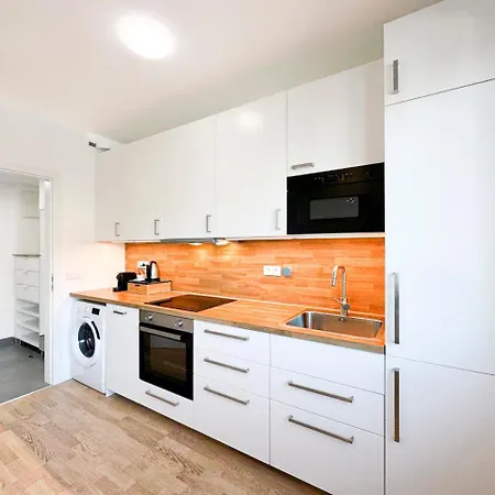 Apartment Vinice *